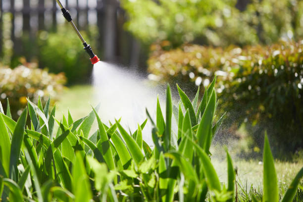 24/7 Emergency Cockroach Control experts in Dimondale, MI